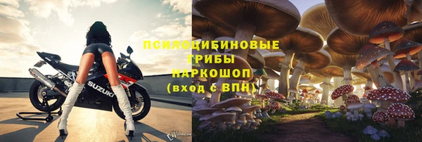 ПСИЛОЦИБИНОВЫЕ ГРИБЫ Нефтегорск